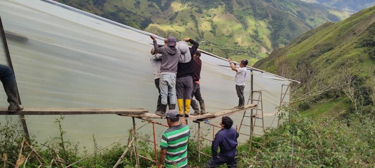 Fortalecimiento Productivo